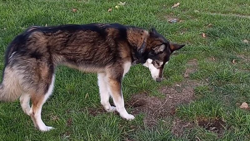 Barkin Park - Lompoc, CA