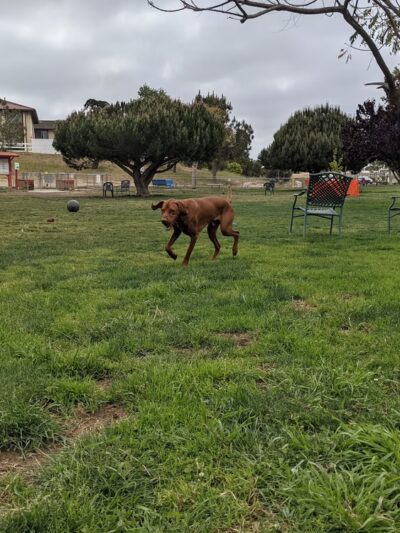 Barkin Park - Lompoc, CA