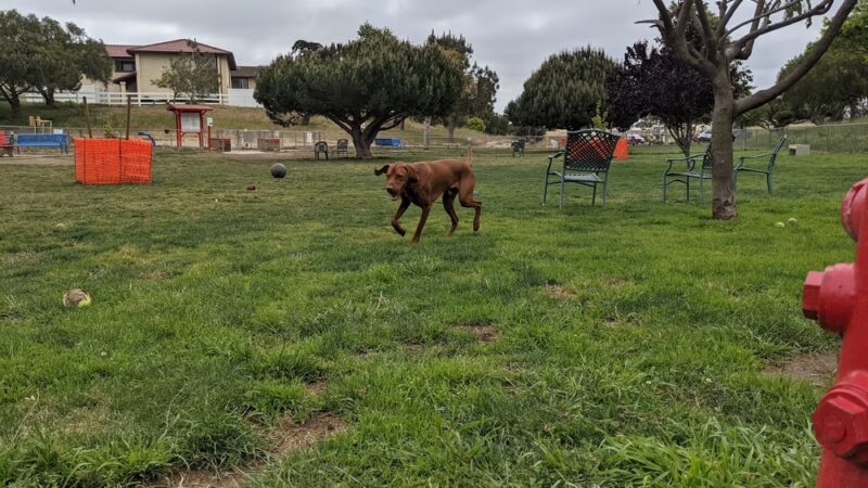Barkin Park - Lompoc, CA