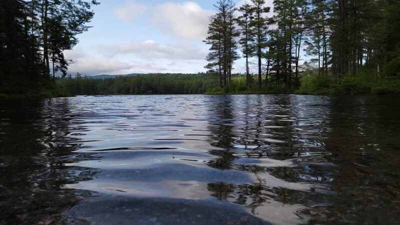 Lowell Lake State Park - Londonderry, VT
