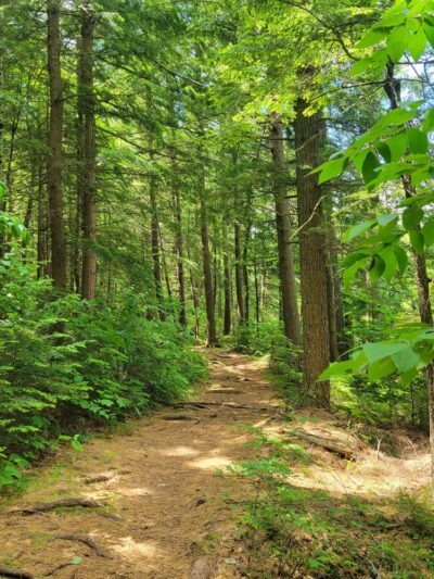 Lowell Lake State Park - Londonderry, VT