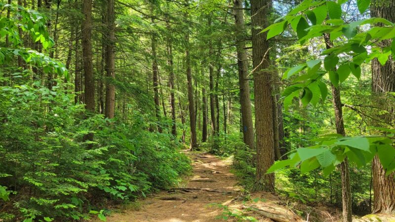 Lowell Lake State Park - Londonderry, VT