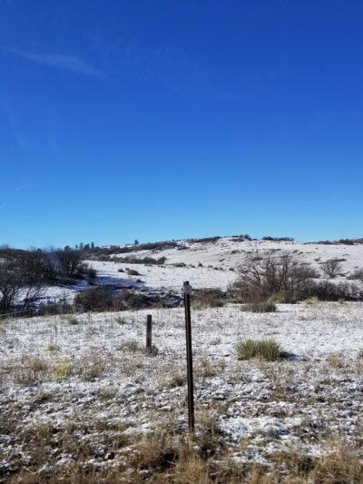 Wildcat Ridge Park - Lone Tree, CO