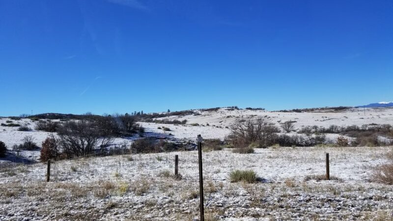 Wildcat Ridge Park - Lone Tree, CO
