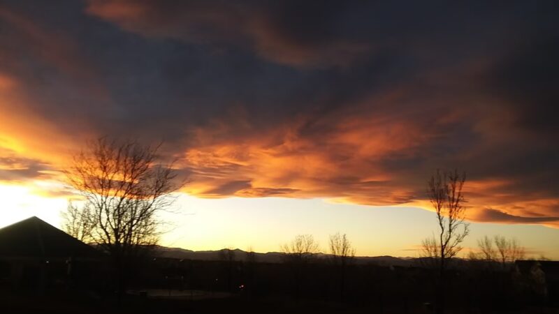 Wildcat Ridge Park - Lone Tree, CO