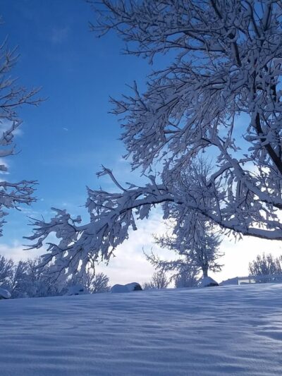 Wildcat Ridge Park - Lone Tree, CO