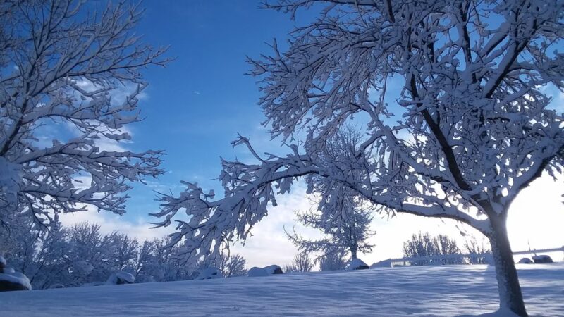 Wildcat Ridge Park - Lone Tree, CO