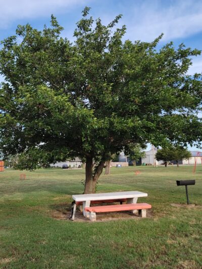 Lone Wolf Town Park - Lone Wolf, OK