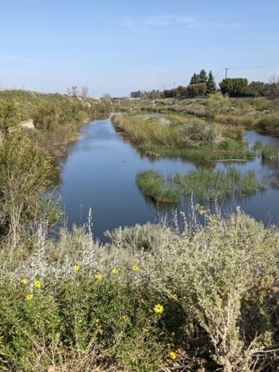 Dominguez Gap Wetlands - Long Beach, CA