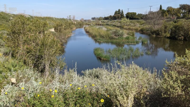 Dominguez Gap Wetlands - Long Beach, CA