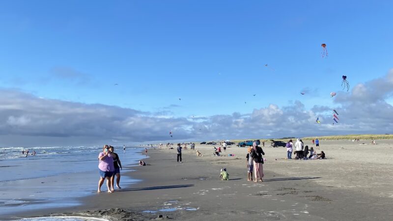 Long Beach Beach - Long Beach, WA