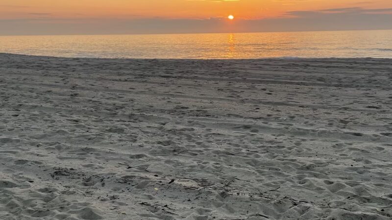 The Great Lawn - Long Branch, NJ