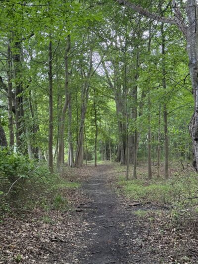 Jackson Woods - Long Branch, NJ