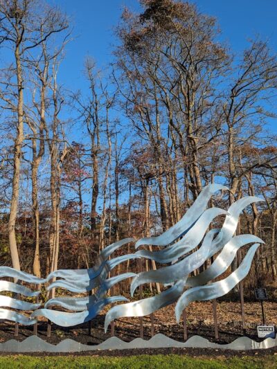 Jackson Woods - Long Branch, NJ