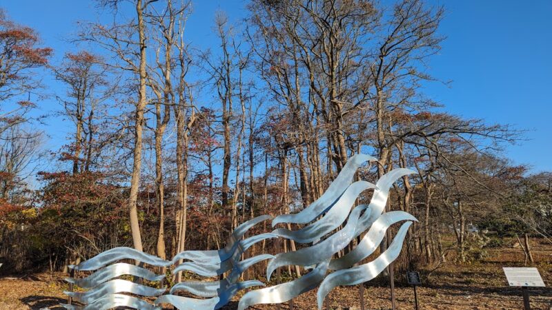 Jackson Woods - Long Branch, NJ