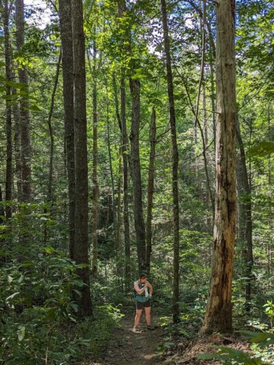 Long Creek Falls Trailhead - Long Creek, SC