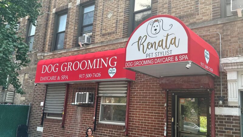 Renata Pet Stylist - Long Island City, NY