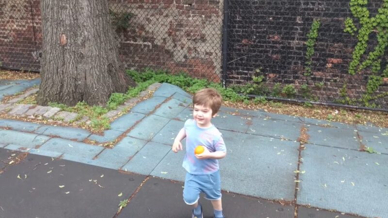 Andrews Grove - Long Island City, NY