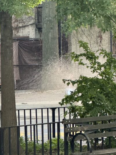 Andrews Grove - Long Island City, NY