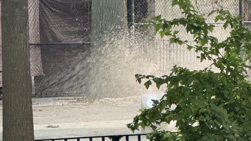 Andrews Grove - Long Island City, NY