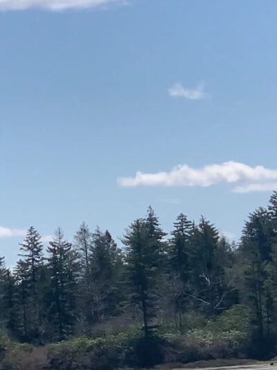 Lost Lakes Trailhead - Long Pond, PA