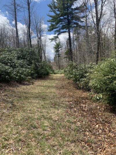 Lost Lakes Trailhead - Long Pond, PA