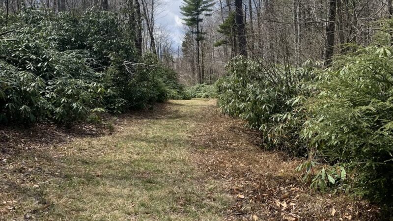 Lost Lakes Trailhead - Long Pond, PA