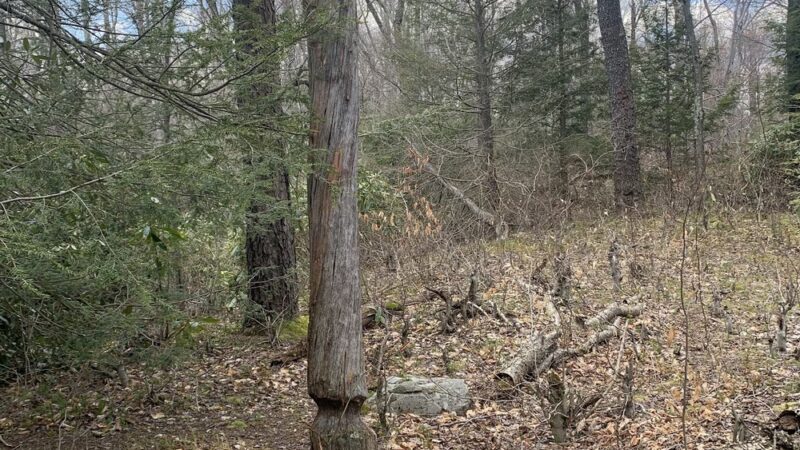 Lost Lakes Trailhead - Long Pond, PA