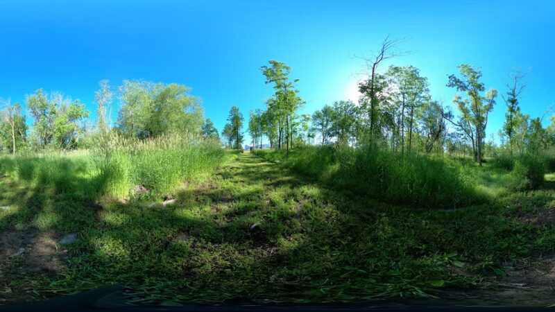 Historic Riverside Park - Long Prairie, MN