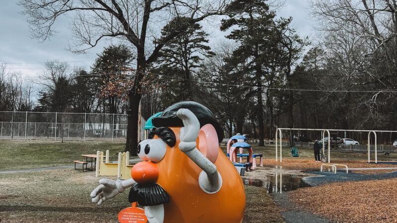 Wilson Boundless Playground - Longmeadow, MA