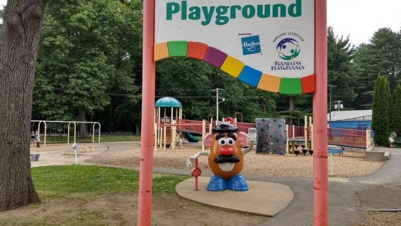 Wilson Boundless Playground - Longmeadow, MA