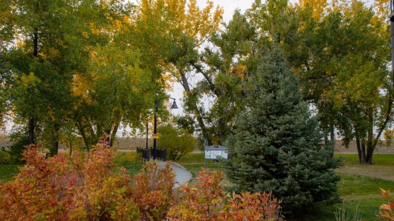 Frederick Recreation Area - Longmont, CO