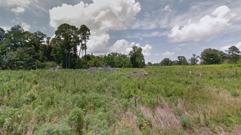 Longstreet - Longstreet, LA