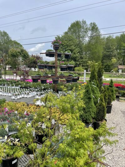 Garden Park - Loogootee, IN