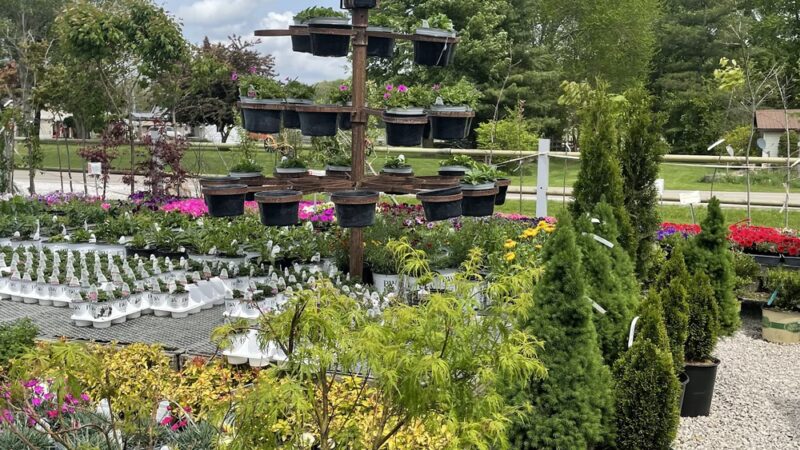 Garden Park - Loogootee, IN