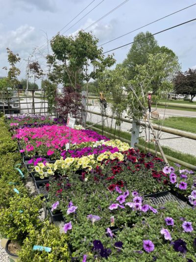 Garden Park - Loogootee, IN
