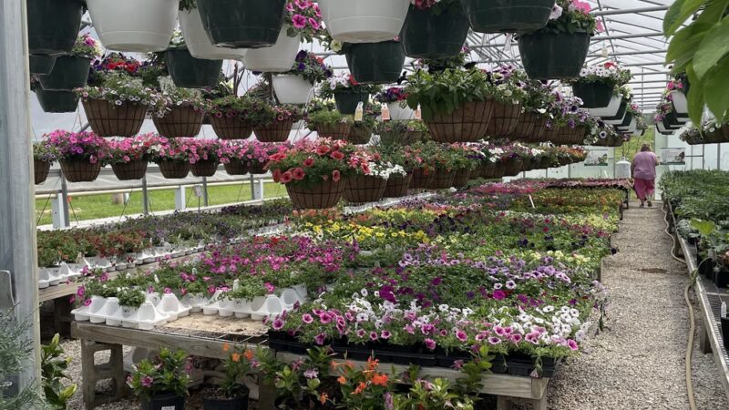 Garden Park - Loogootee, IN