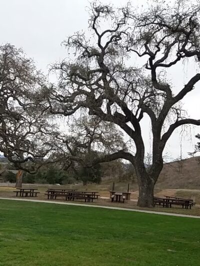 Los Alamos County Park - Los Alamos, CA