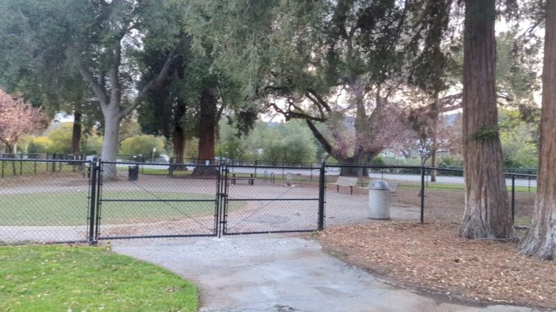 McKenzie Dog Park - Los Altos, CA
