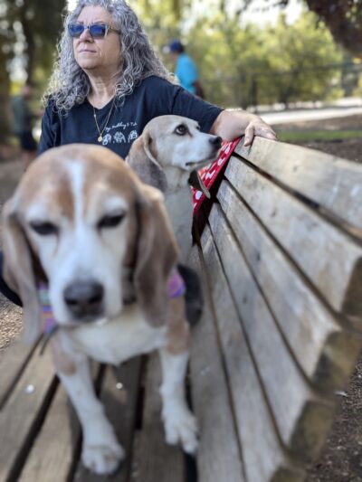 McKenzie Dog Park - Los Altos, CA
