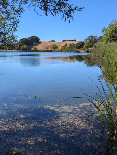 Foothills Nature Preserve - Los Altos Hills, CA