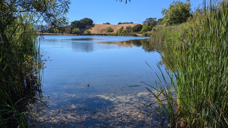Foothills Nature Preserve - Los Altos Hills, CA