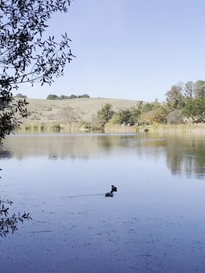 Foothills Nature Preserve - Los Altos Hills, CA