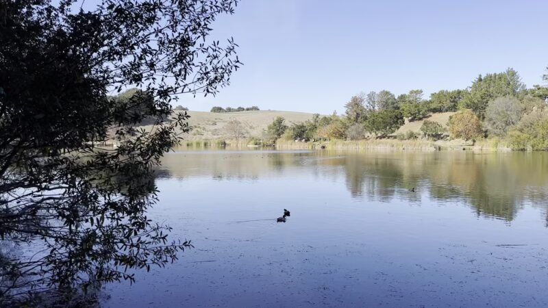 Foothills Nature Preserve - Los Altos Hills, CA