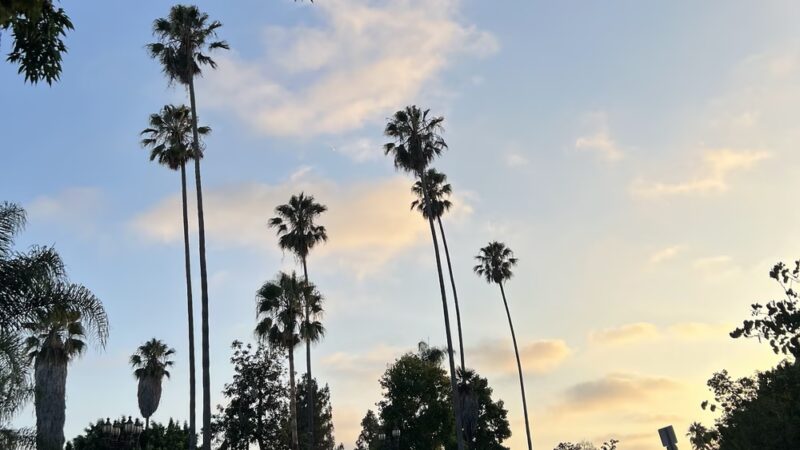 Alvarado Terrace Park - Los Angeles, CA