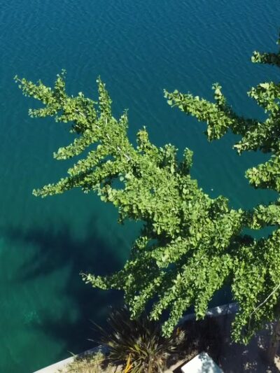Belvedere Community Regional Park - Los Angeles, CA