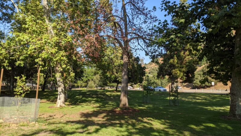 Bond Area - Los Angeles, CA