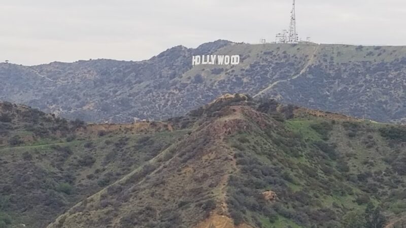 Bond Area - Los Angeles, CA