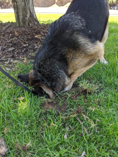 Bond Area - Los Angeles, CA