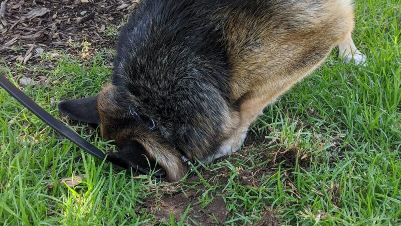 Bond Area - Los Angeles, CA